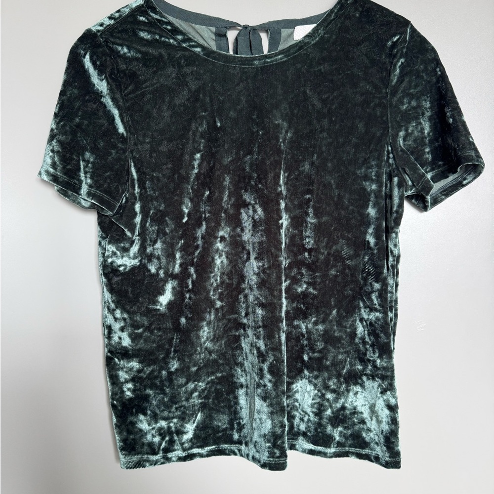 Velvet Green Short Sleeved Women's Top